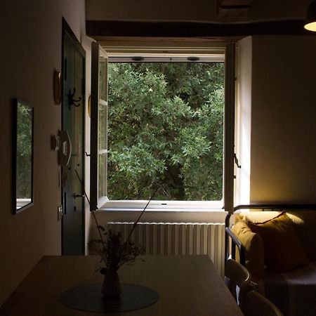 La Finestra Sul Parco Apartman Lucca Kültér fotó