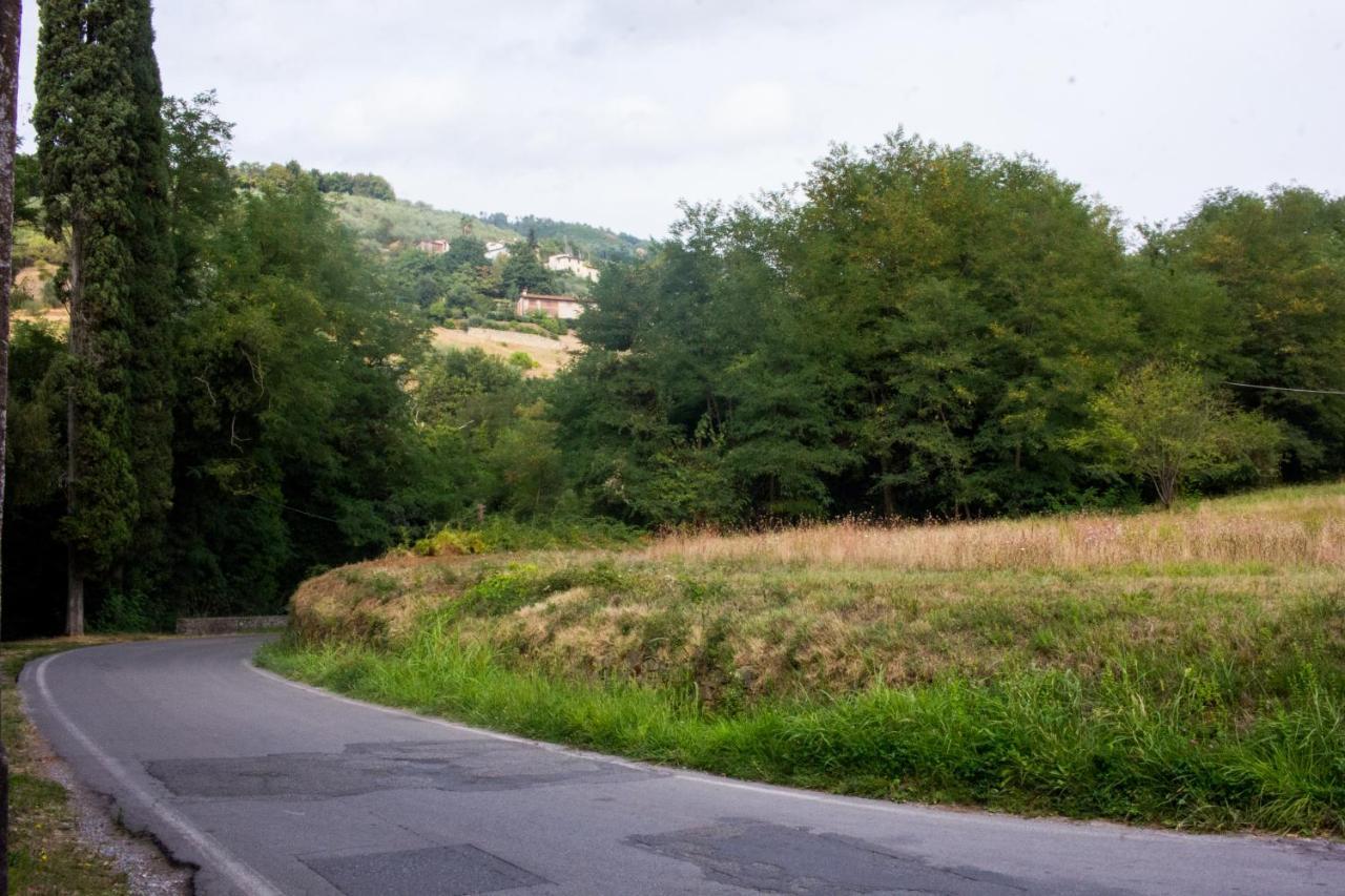 La Finestra Sul Parco Apartman Lucca Kültér fotó